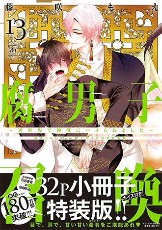 2026.6.10<br>「腐男子召喚～異世界で神獣にハメられました～ 13 【描き下ろし32p小冊子ボイス付き特装版】