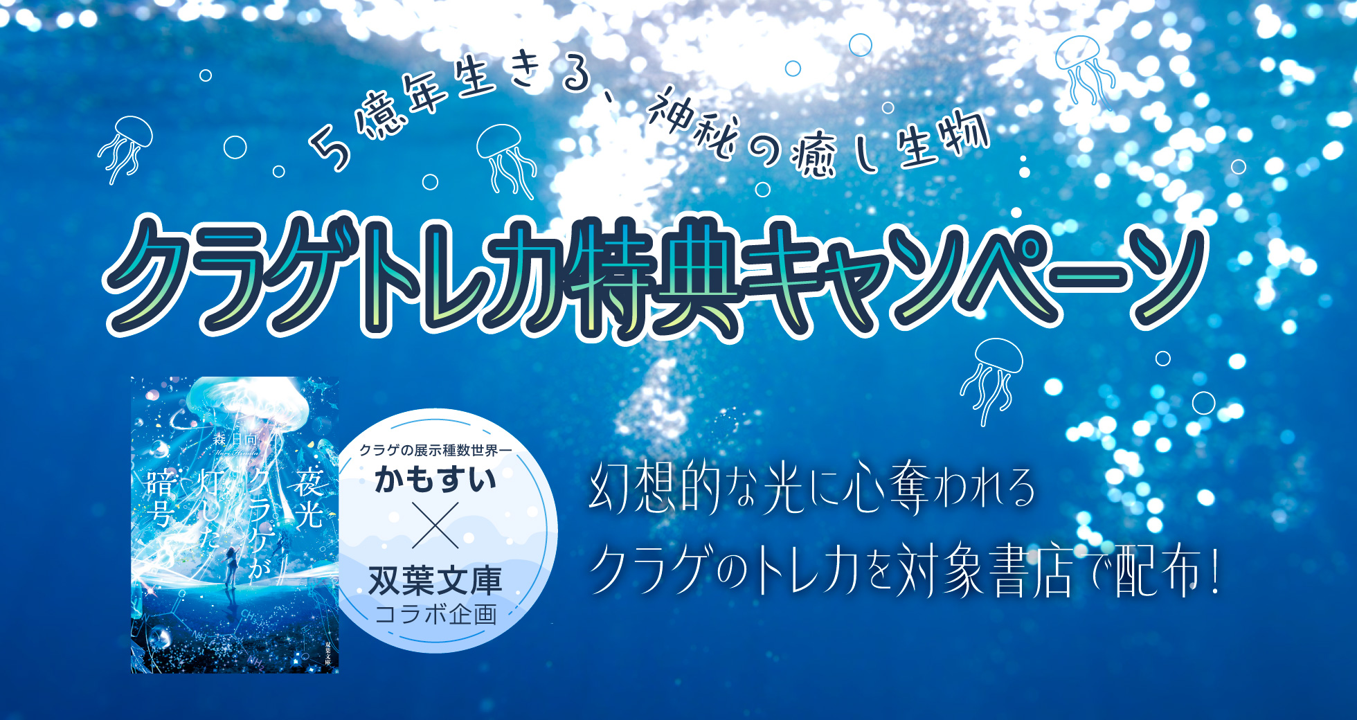 「夜光クラゲが灯した暗号」