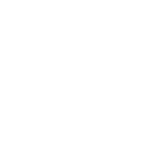 デビュー25周年渾身の書き下ろし長編ミステリー伊坂幸太郎『さよならジャバウォック』特設サイト