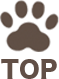 Topに戻る