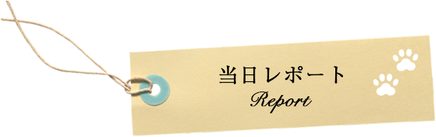 当日レポート